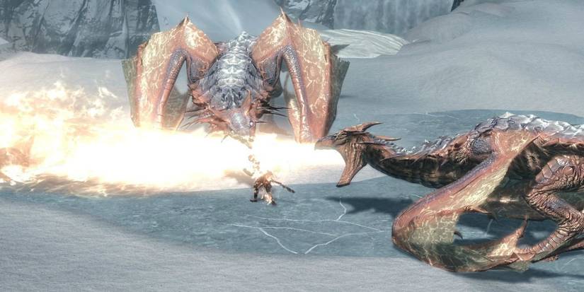 The Dragons Naaslaarum & Volslaarum