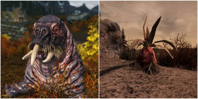 A Split Image Of Horker &amp; Ash Stew Ingredients