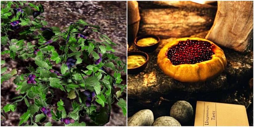 A Split Image Of Jazbay Crostata