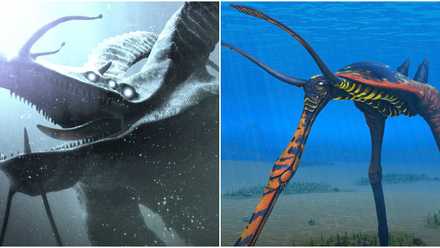 Split image of giant fossil and sea rock