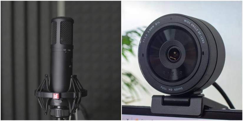 Split Image Of Mic &amp; Webcam