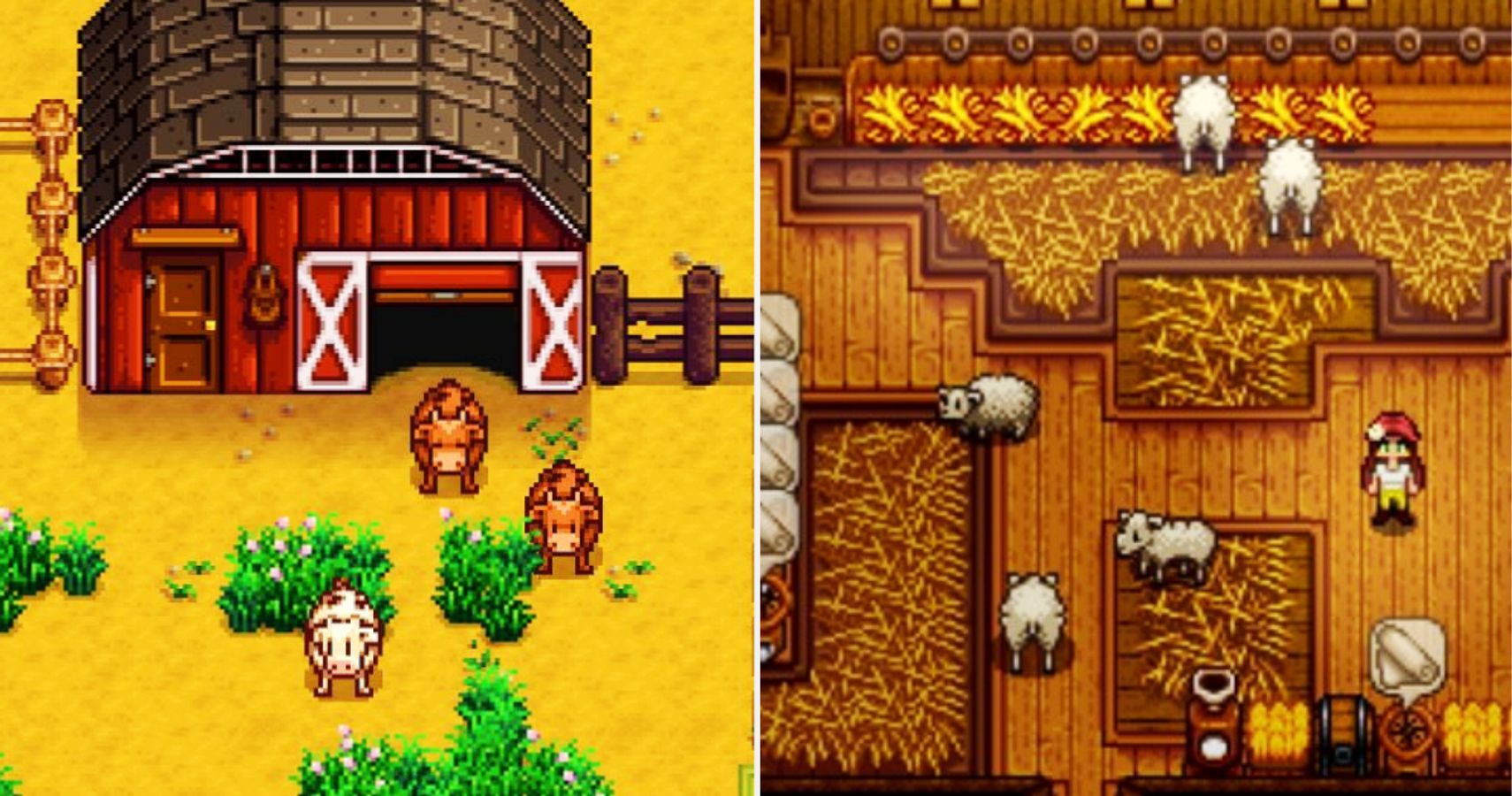Stardew Valley Barn Animals And Barn From Inside