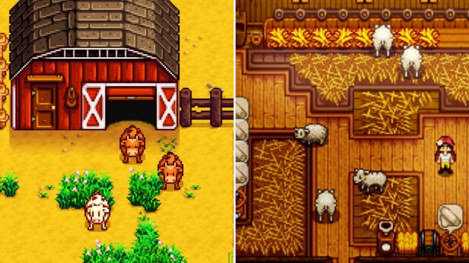 Stardew Valley Barn Animals And Barn From Inside