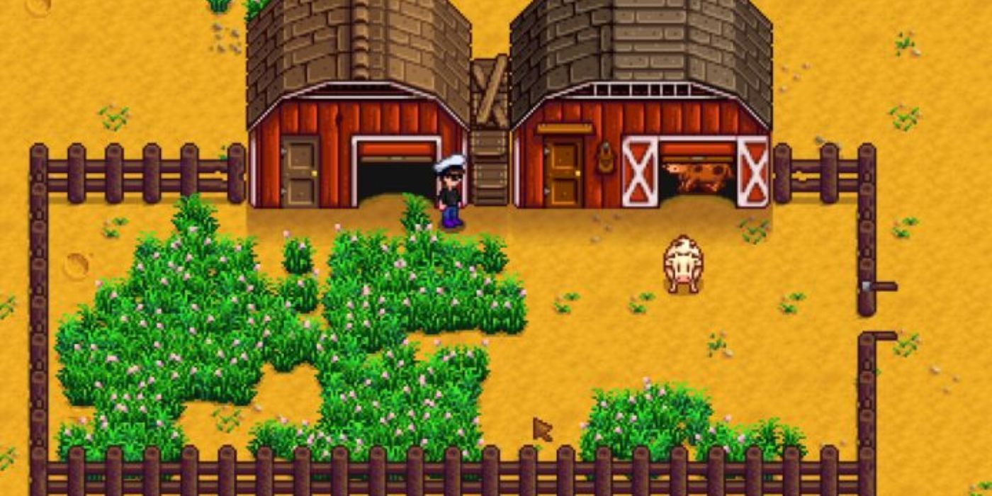 Stardew Valley Barn With Fenced Off Area 