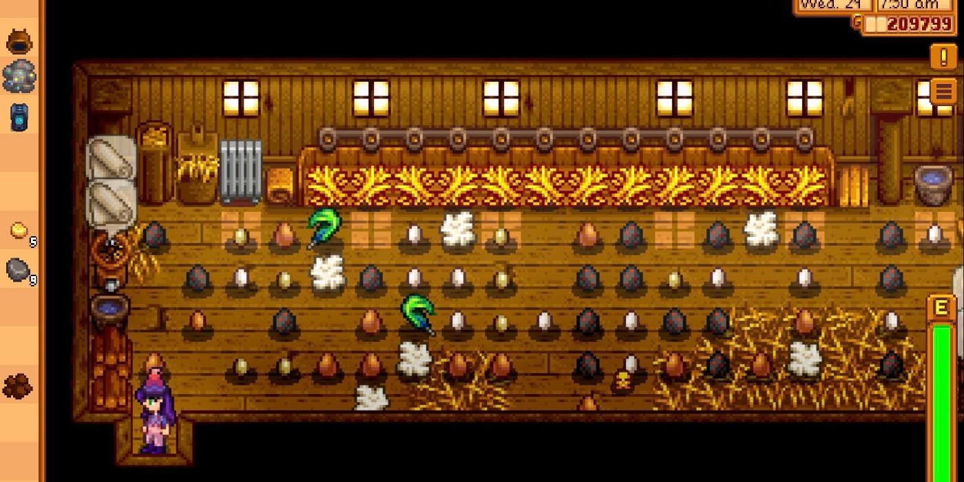 Stardew Valley Chicken Coop Full Of Eggs