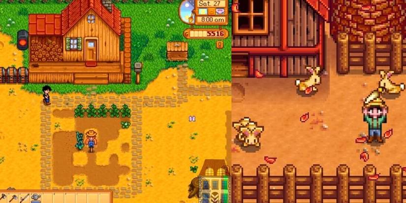 Stardew Valley Early Build Split Image