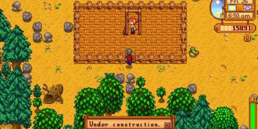 Stardew Valley Robin Building Barn