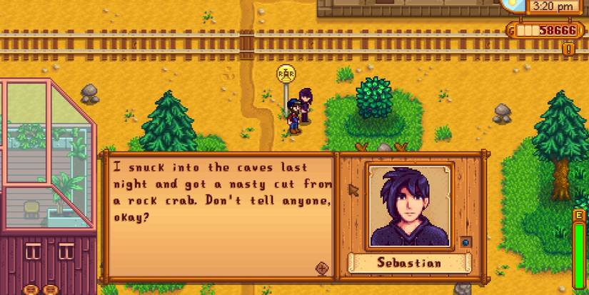 Stardew Valley Sebastian