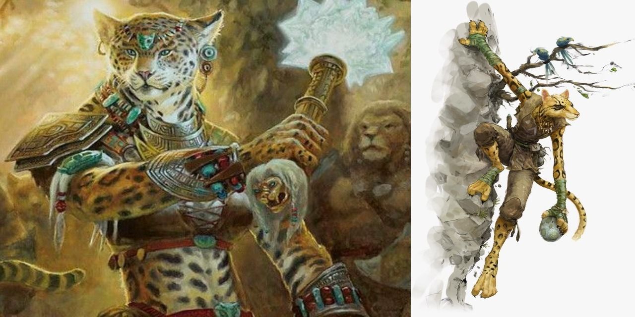 Split image, Tabaxi standing with others, Tabaxi climbing a wall official art via Wizards of the Sword Coast