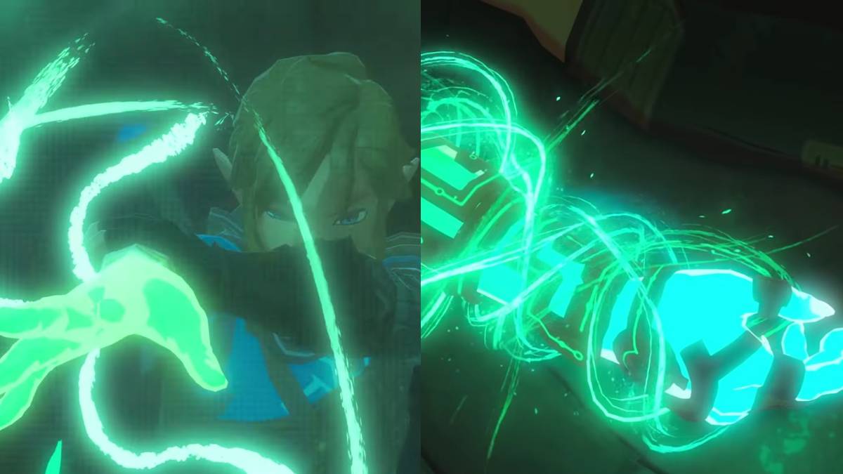 The Legend of Zelda Breath of the Wild 2 Link Arm