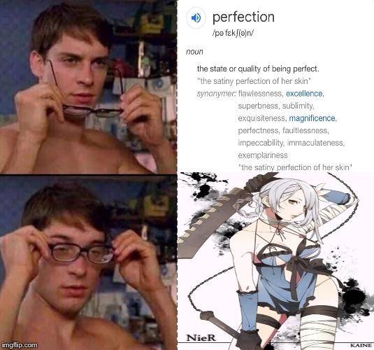 Toby Maguire Spiderman Nier Meme