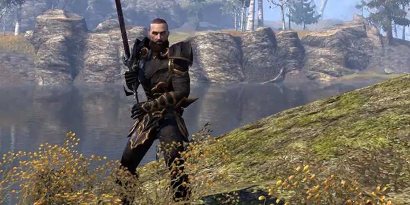 Two Handed Elder Scrolls Online Templar Weapons