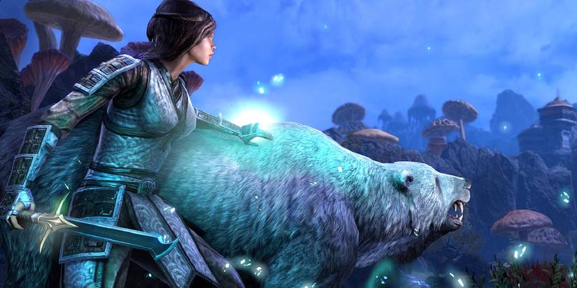 Warden ESO Support Blossom Build