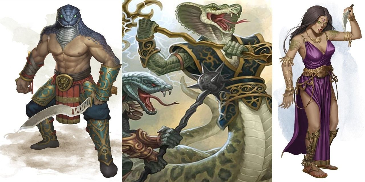 Split image, two Yuan-ti purebloods flanking a central pictrure of Yuan-ti official art via Wizards of the Sword Coast