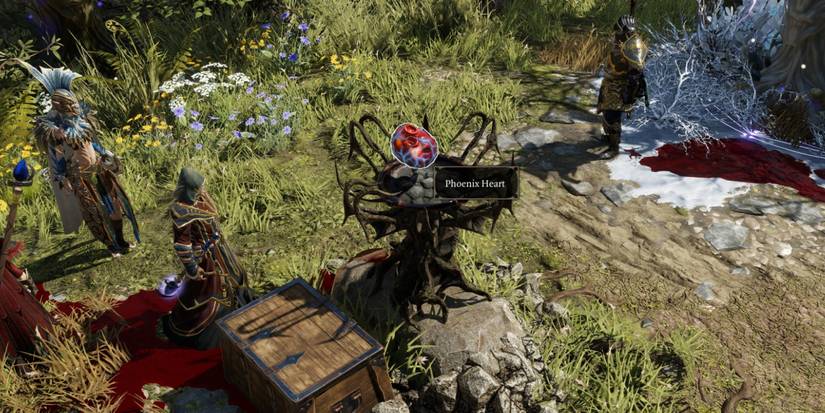 The Phoenix Heart and chest with rewards