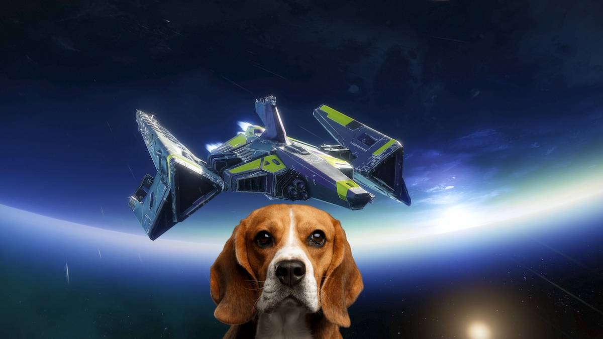 destiny 2 ps5 install error