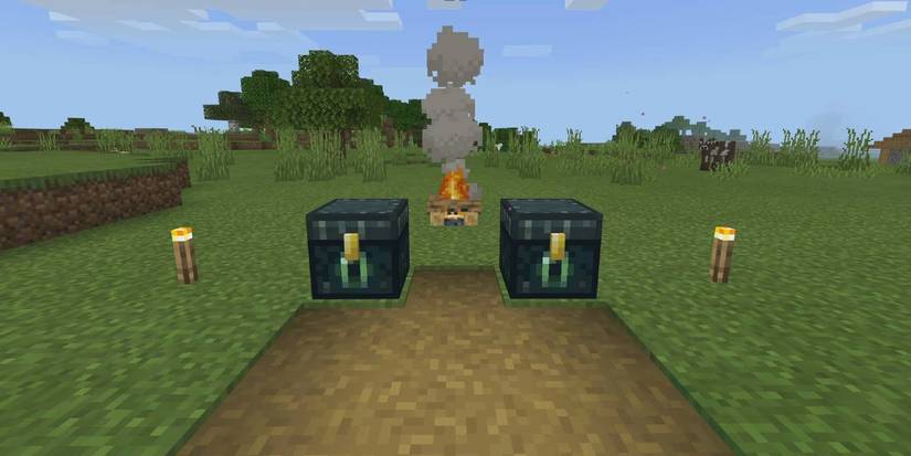 ender chests day minecraft
