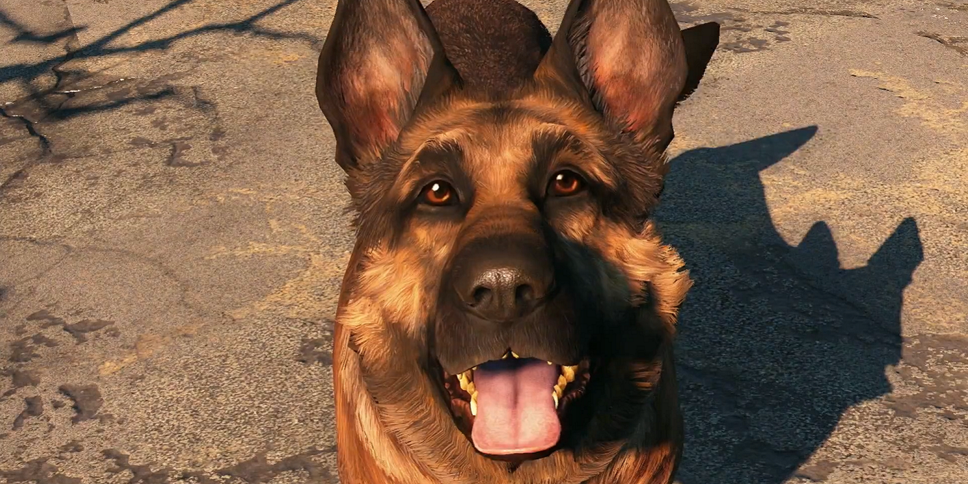 A close up image of Dogmeat from Fallout 4.