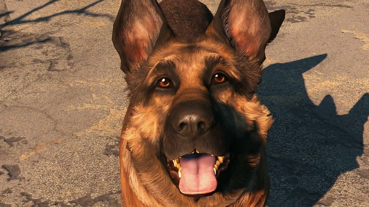 A close up image of Dogmeat from Fallout 4.