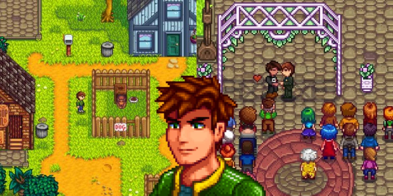 alex with his dog, getting married to the player, and his portrait.