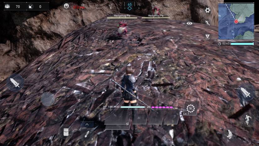 Sqauring off against a couple of Hedgehog Pies in Final Fantasy VII The First Soldier