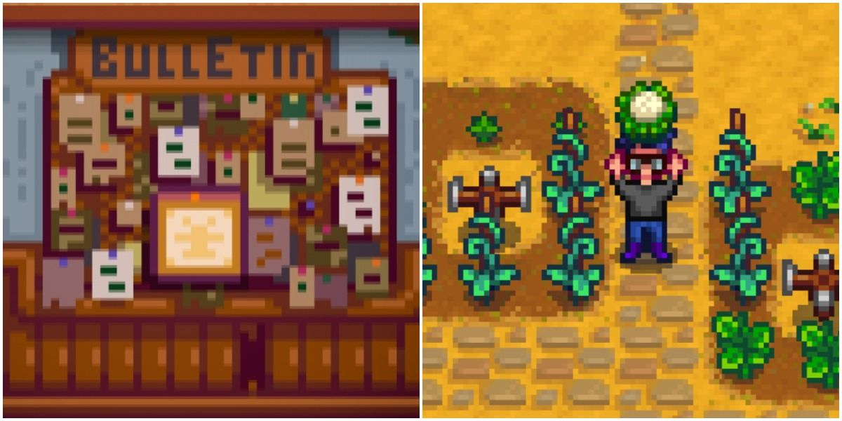 The bulletin board (left); player holding a cauliflower (right)