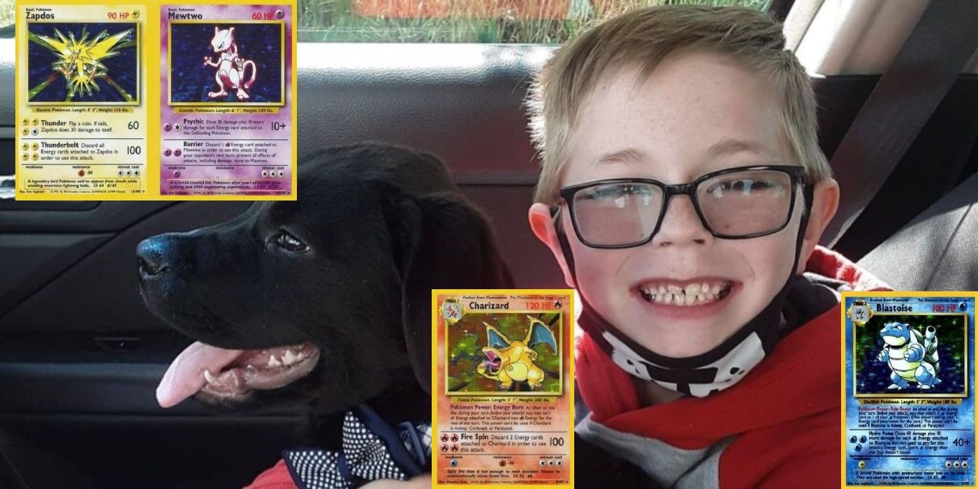 kliemann pokemon cards puppy