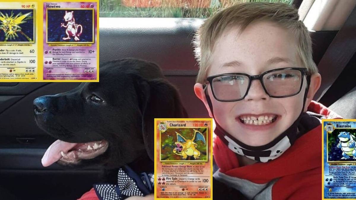 kliemann pokemon cards puppy