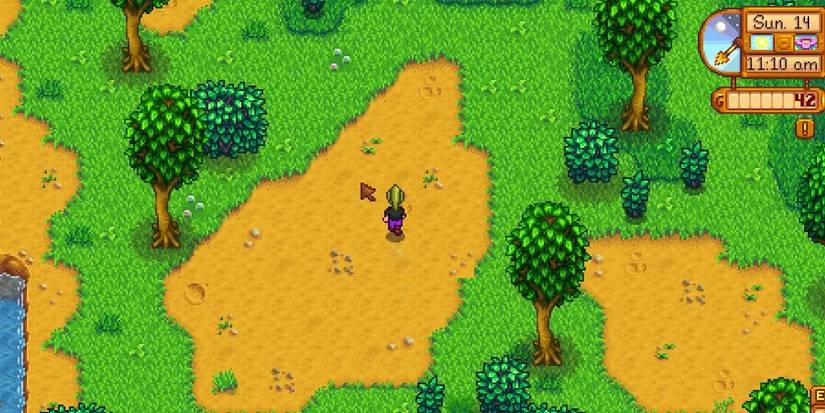 Exploring during spring.