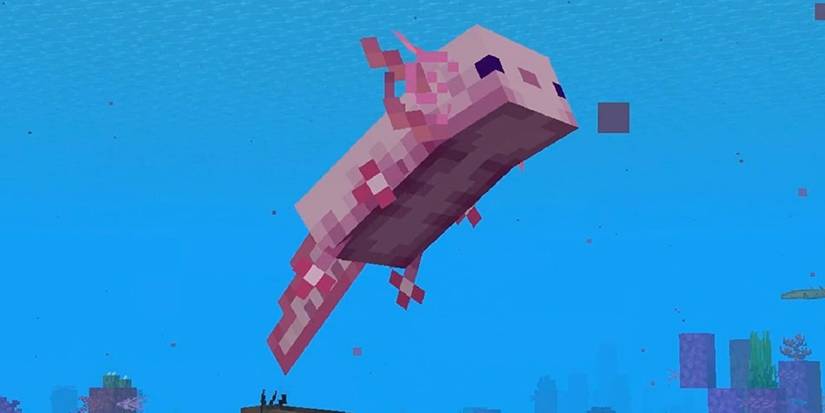Minecraft Axolotl