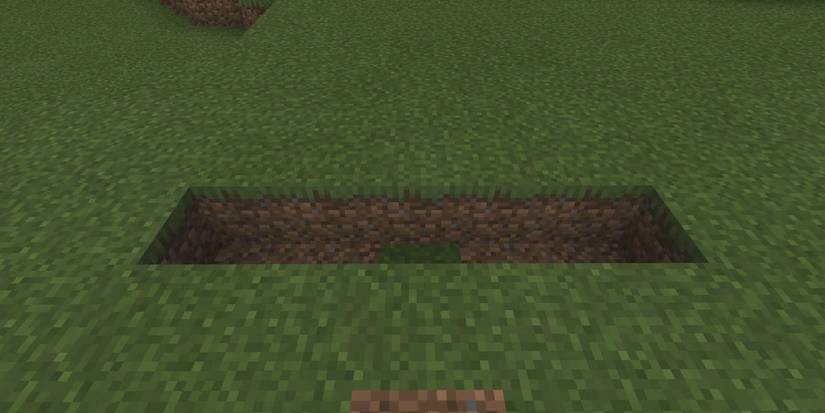 dirt minecraft