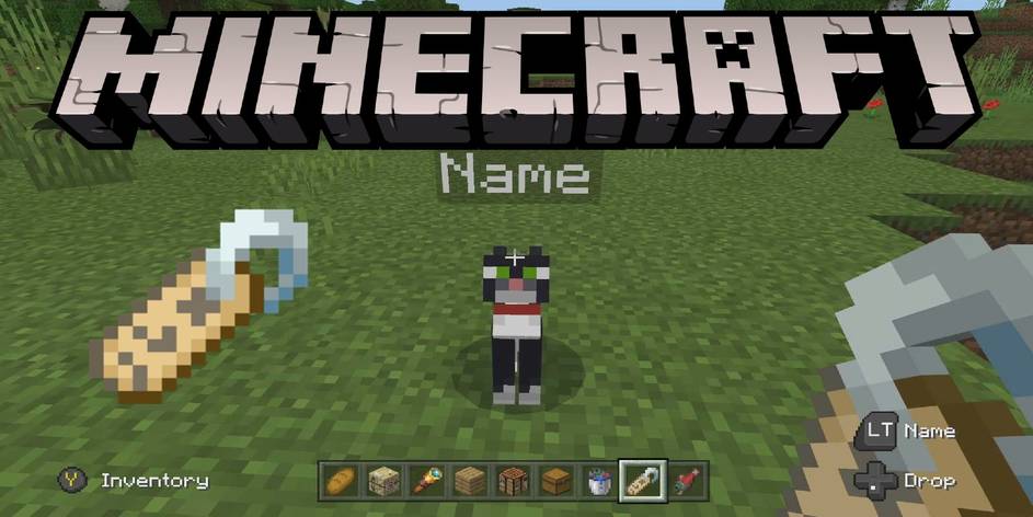Minecraft How To Get A Name