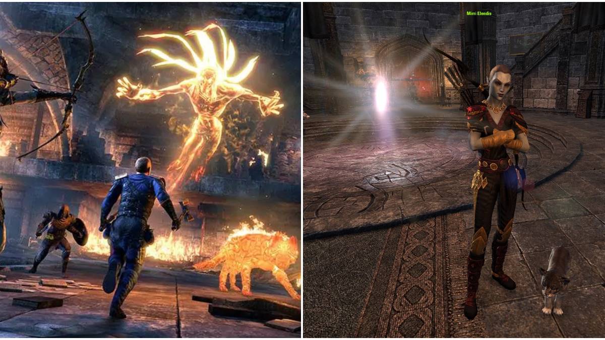 A group of companions attacking/ Mirri Elendis award page