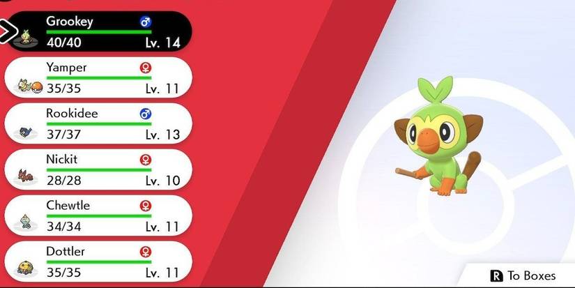 Grookey in Pokemon party.