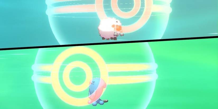 Trading Wooloo and Wobbafett.