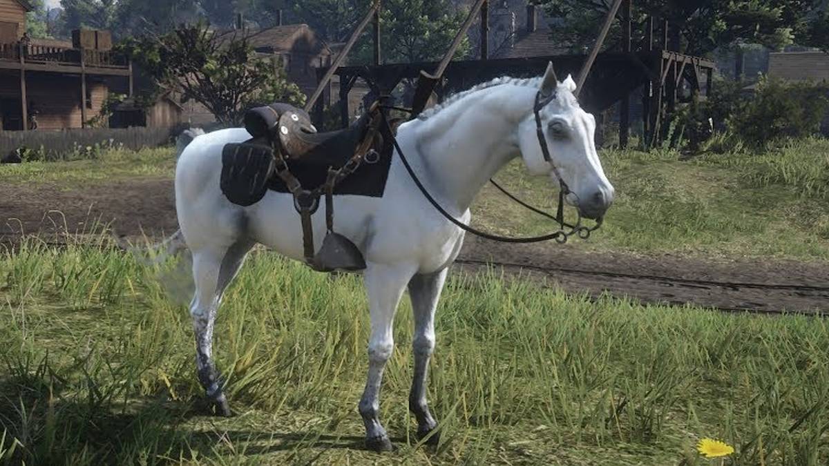 Red Dead Redemption 2 Arabian Upside Down