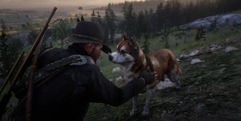 Pets Rdtr RDR2 Tips For Immersion