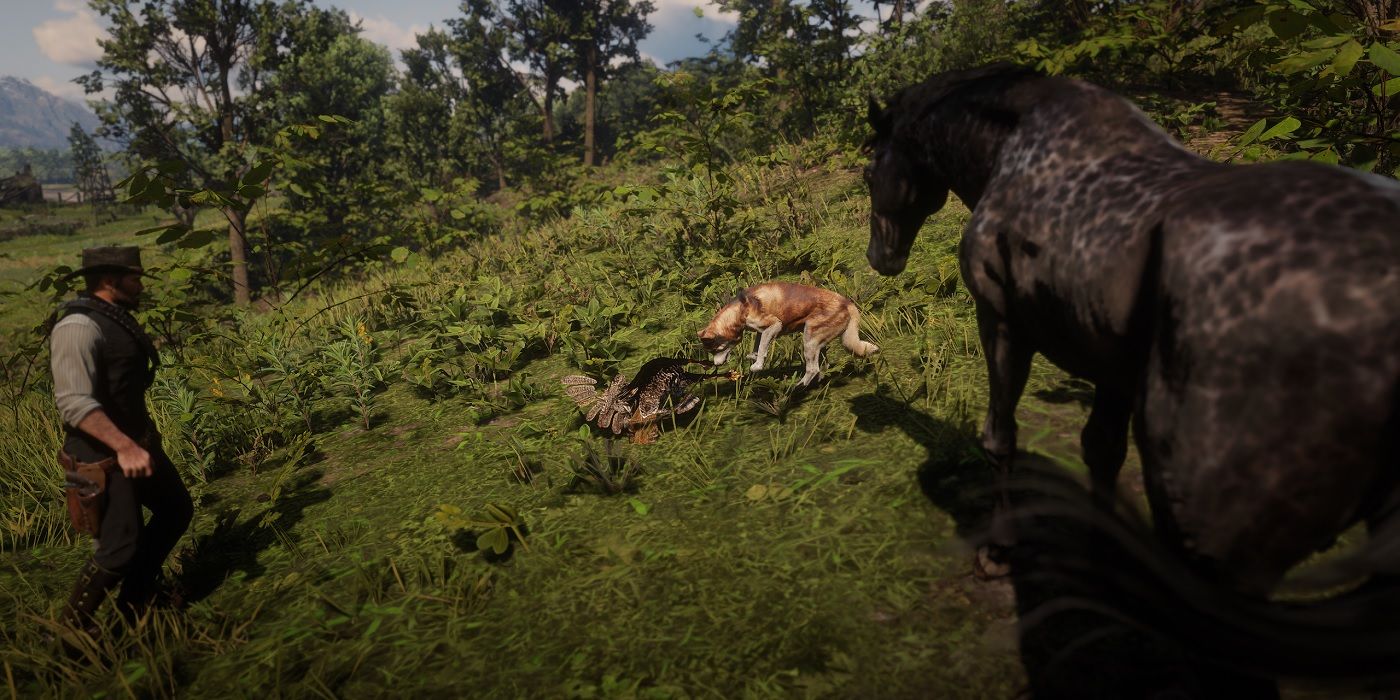 red dead redemption 2 dog hunting