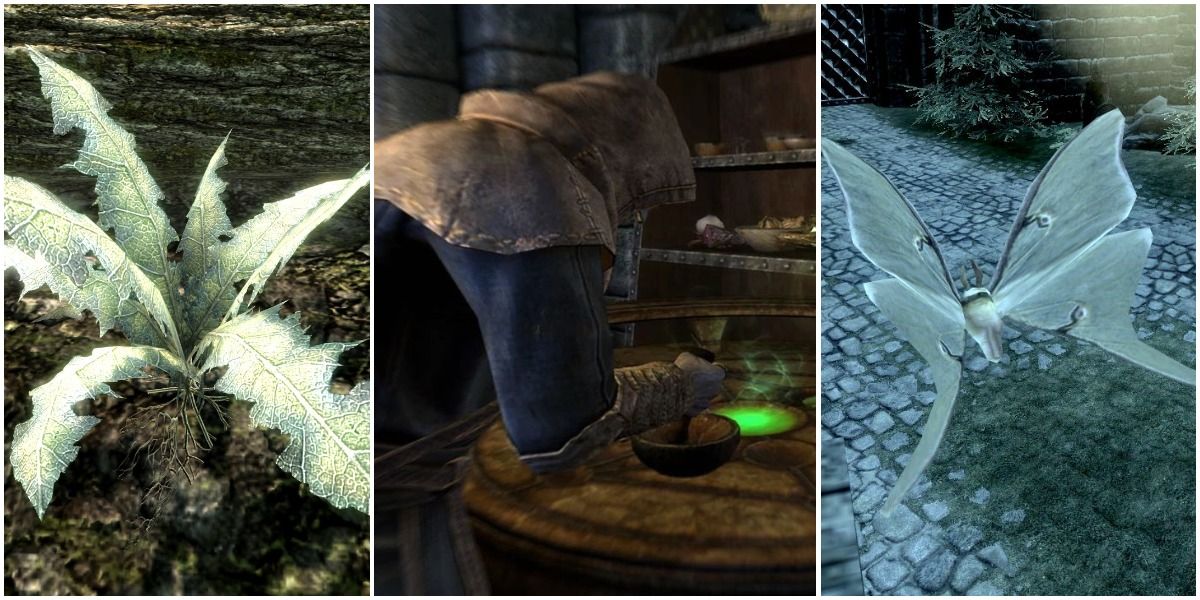 Left to right: Nirnroot, player at an alchemy lab, Luna Moth