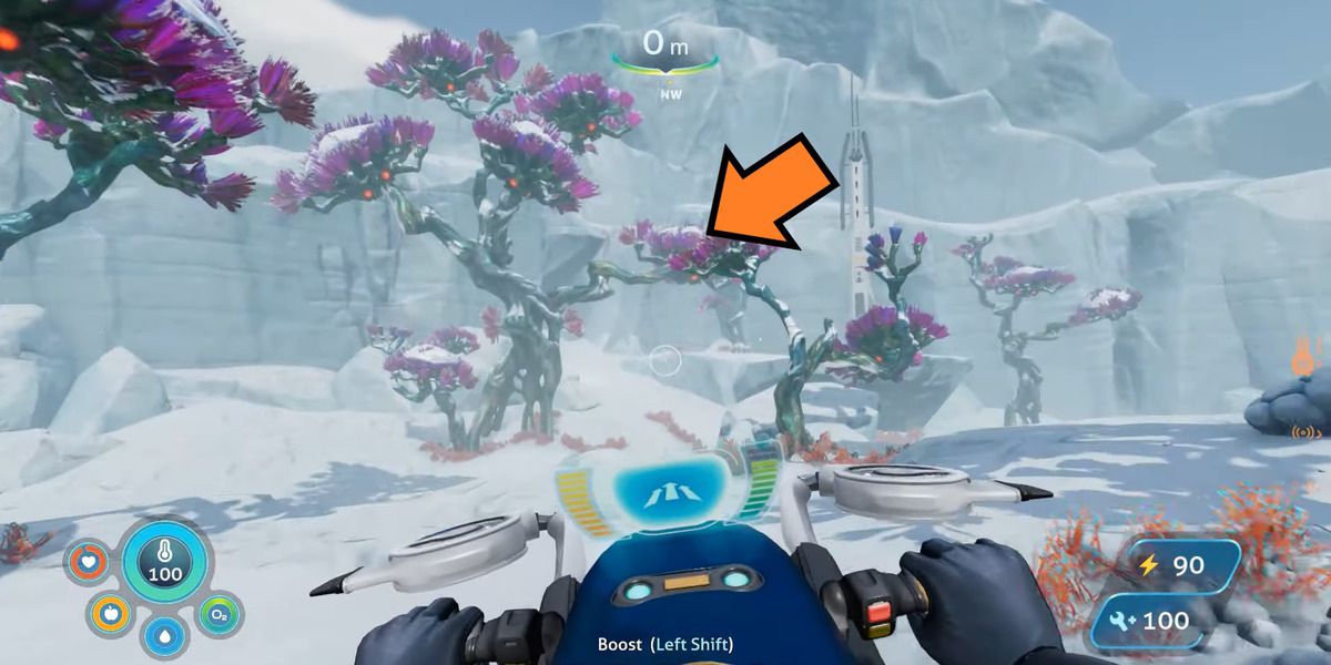 arrow pointing to cave leading to Frozen Leviathan
