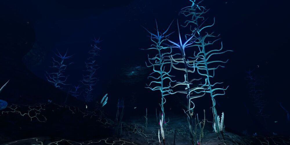 Underwater plantlife