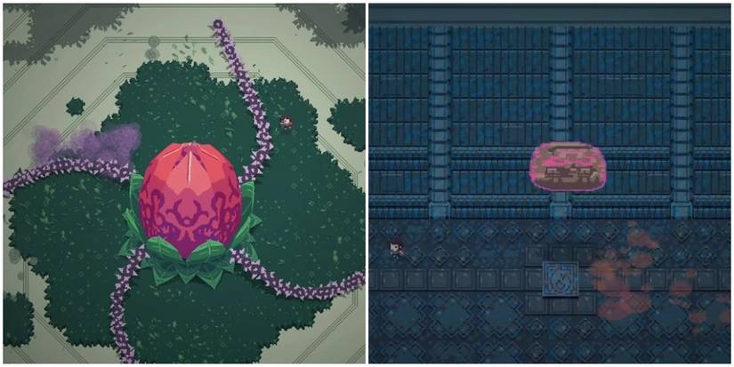 flower-like boss and a brain-like one.