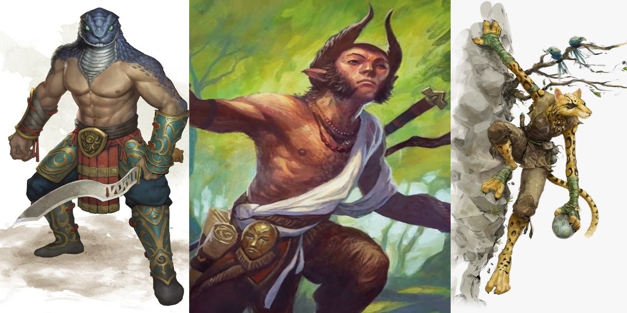 D&D Best Playable Races From 5e Expansions