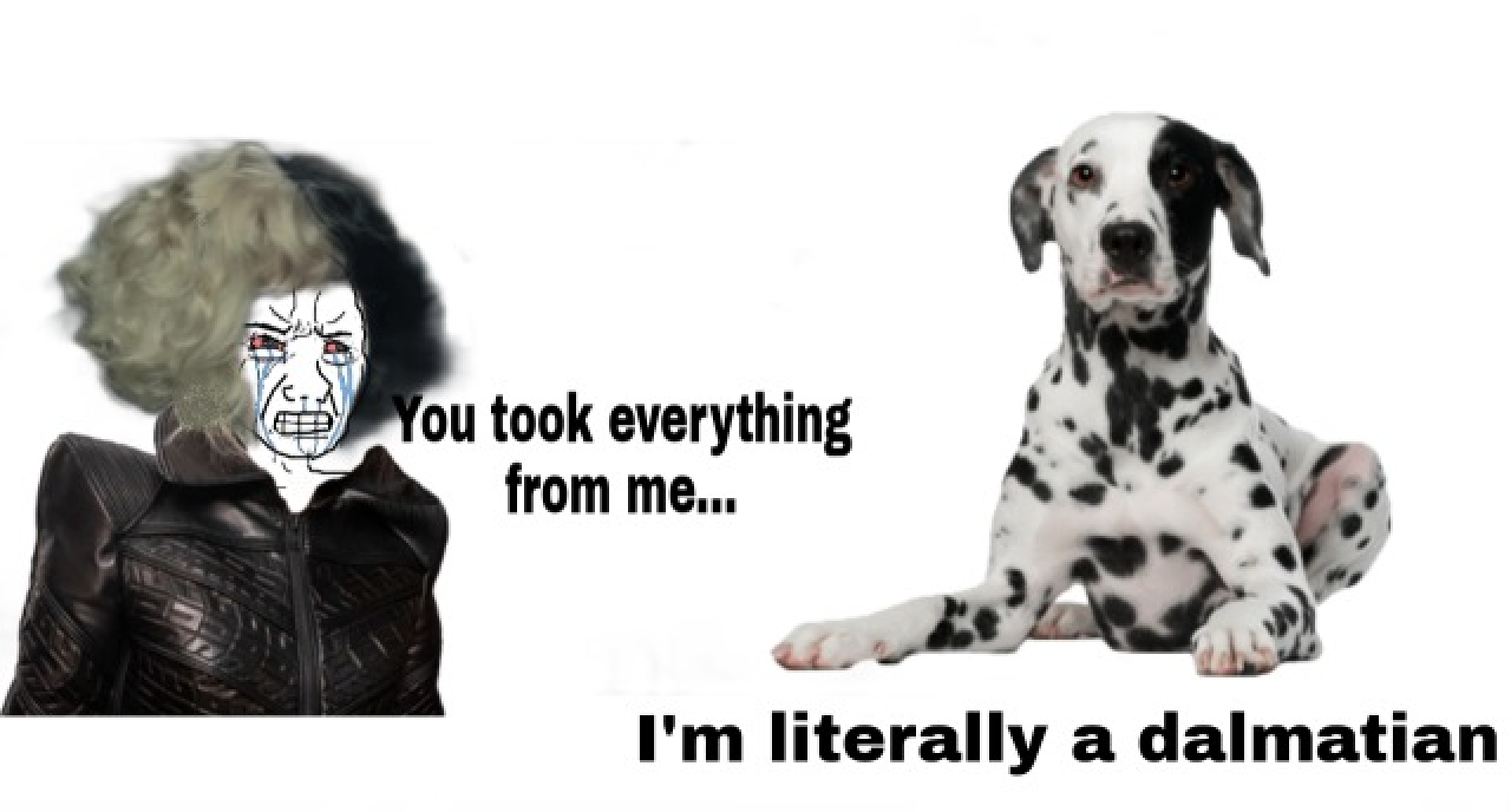 "You took everything from me" meme with Cruella and a dalmation.