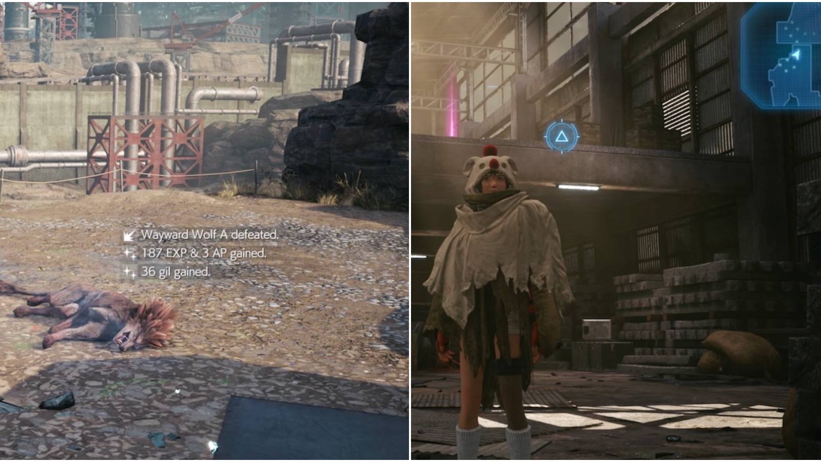 wayward wolf split image