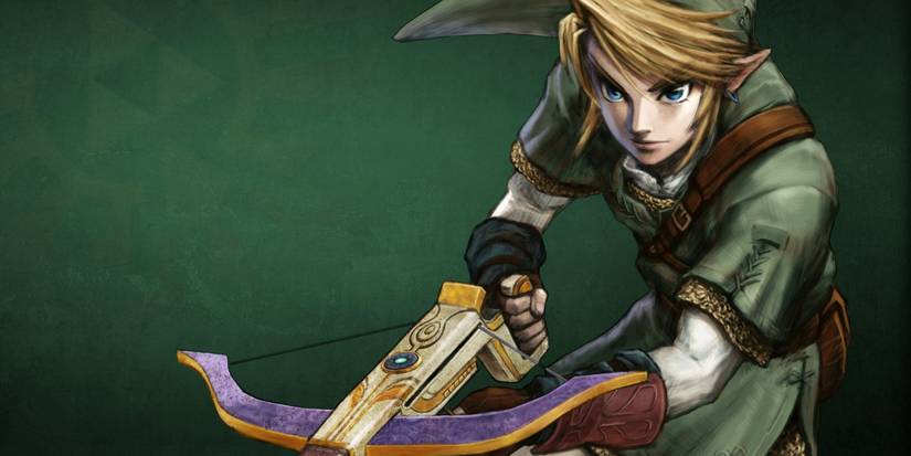 Link from Link's Crossbow Training