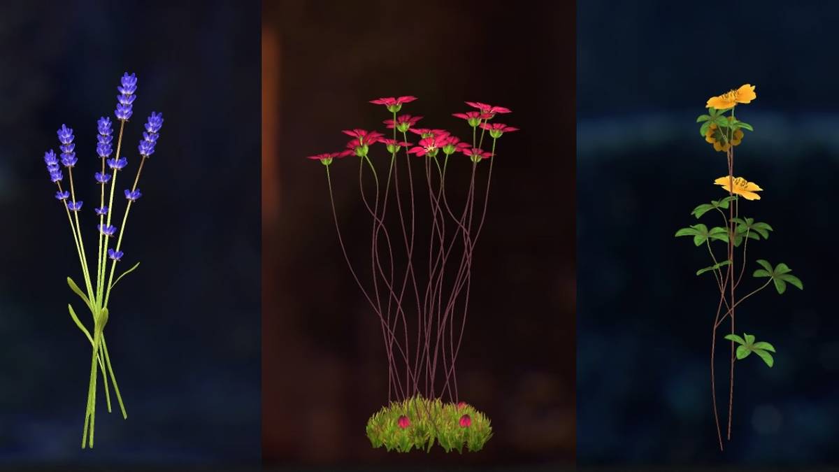 Lavender, Rockfoils, Cinquefoil in A Plague Tale Innocence