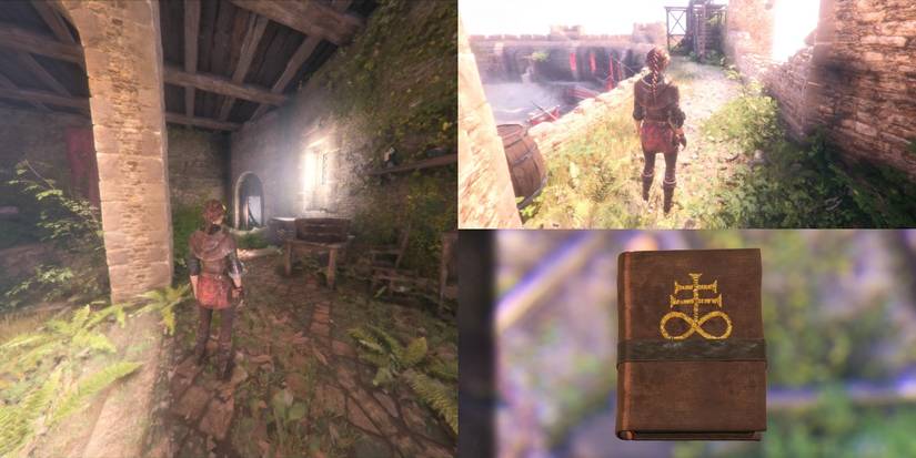 Bird Language Manual, among the curiosities in A Plague Tale Innocence
