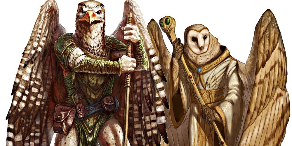 Aarakocra Dungeons and Dragons DND Playable Races birds
