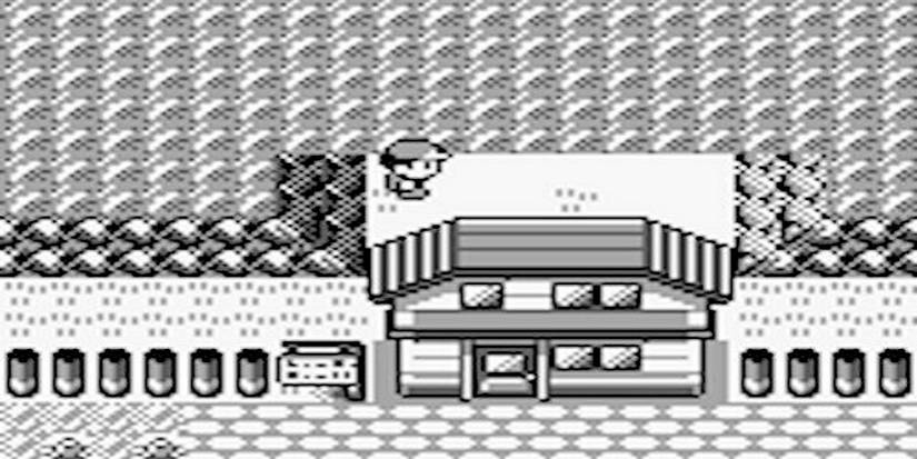 Inside Bill's Secret Garden From Red & Blue